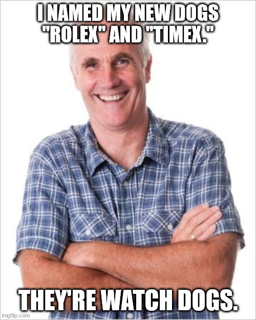 Why Dads Should Never Name The Pets | I NAMED MY NEW DOGS "ROLEX" AND "TIMEX."; THEY'RE WATCH DOGS. | image tagged in dad joke,funny,humor,pun | made w/ Imgflip meme maker