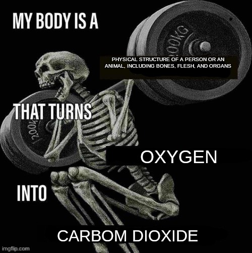My body is a X that turns Y into Z | PHYSICAL STRUCTURE OF A PERSON OR AN ANIMAL, INCLUDING BONES, FLESH, AND ORGANS; OXYGEN; CARBOM DIOXIDE | image tagged in my body is a x that turns y into z | made w/ Imgflip meme maker