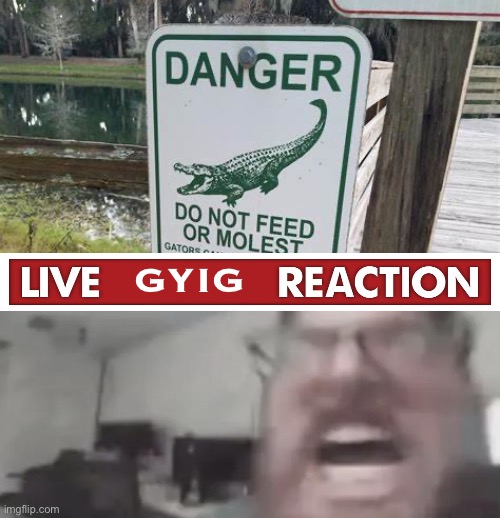 GYIG | made w/ Imgflip meme maker