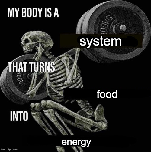 My body is a X that turns Y into Z | system; food; energy | image tagged in my body is a x that turns y into z | made w/ Imgflip meme maker