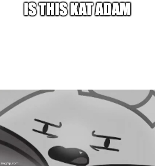 Confused bongo cat (SomthingelseYT) | IS THIS KAT ADAM | image tagged in confused bongo cat somthingelseyt | made w/ Imgflip meme maker