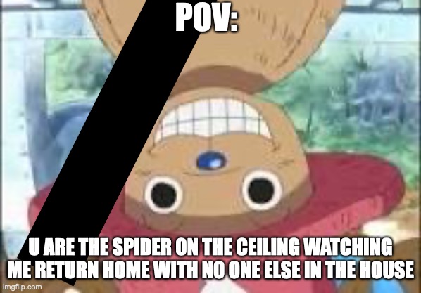 Chopper smiling | POV:; U ARE THE SPIDER ON THE CEILING WATCHING ME RETURN HOME WITH NO ONE ELSE IN THE HOUSE | image tagged in chopper smiling | made w/ Imgflip meme maker