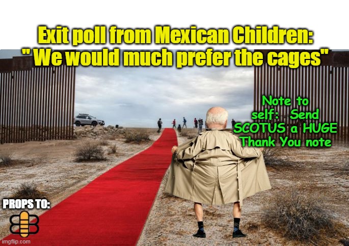 “How old are you, 17?”  “No, she’s six.” (That, is your President) | Exit poll from Mexican Children:
" We would much prefer the cages"; Note to self:  Send SCOTUS a HUGE Thank You note; PROPS TO: | image tagged in biden child molesting pedophile meme | made w/ Imgflip meme maker