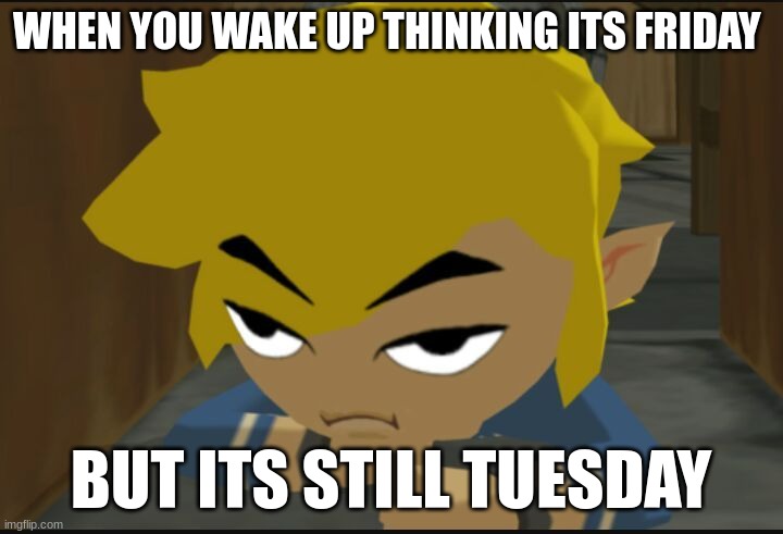 sooo annoying | WHEN YOU WAKE UP THINKING ITS FRIDAY; BUT ITS STILL TUESDAY | image tagged in frustrated link | made w/ Imgflip meme maker