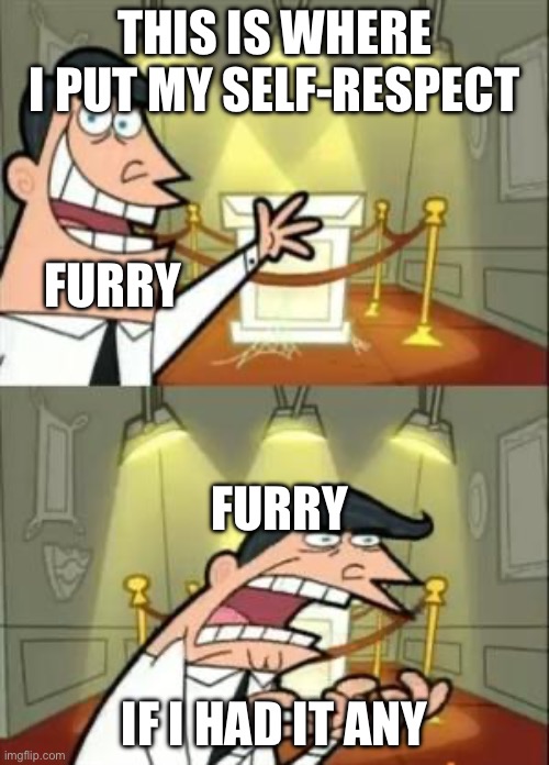 The | THIS IS WHERE I PUT MY SELF-RESPECT; FURRY; FURRY; IF I HAD IT ANY | image tagged in memes,this is where i'd put my trophy if i had one | made w/ Imgflip meme maker