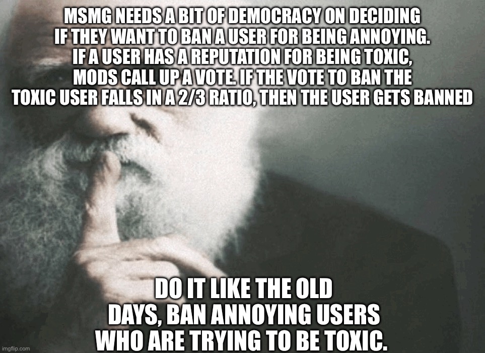 Get this suggestion to the front page so others can see the idea | MSMG NEEDS A BIT OF DEMOCRACY ON DECIDING IF THEY WANT TO BAN A USER FOR BEING ANNOYING. IF A USER HAS A REPUTATION FOR BEING TOXIC, MODS CALL UP A VOTE. IF THE VOTE TO BAN THE TOXIC USER FALLS IN A 2/3 RATIO, THEN THE USER GETS BANNED; DO IT LIKE THE OLD DAYS, BAN ANNOYING USERS WHO ARE TRYING TO BE TOXIC. | image tagged in hush | made w/ Imgflip meme maker