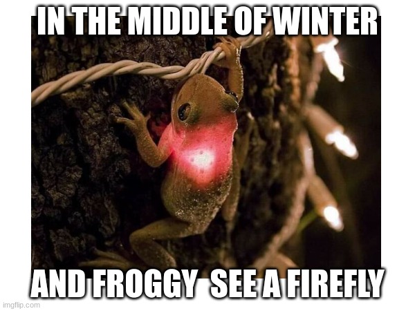 christmas | IN THE MIDDLE OF WINTER; AND FROGGY  SEE A FIREFLY | image tagged in frogs | made w/ Imgflip meme maker