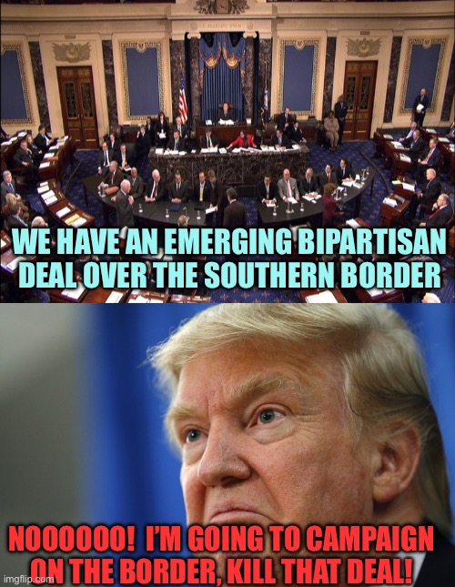 Hmmm is the border more important, or is the campaign more important? | WE HAVE AN EMERGING BIPARTISAN DEAL OVER THE SOUTHERN BORDER; NOOOOOO!  I’M GOING TO CAMPAIGN ON THE BORDER, KILL THAT DEAL! | image tagged in senate floor,mad trump,memes | made w/ Imgflip meme maker