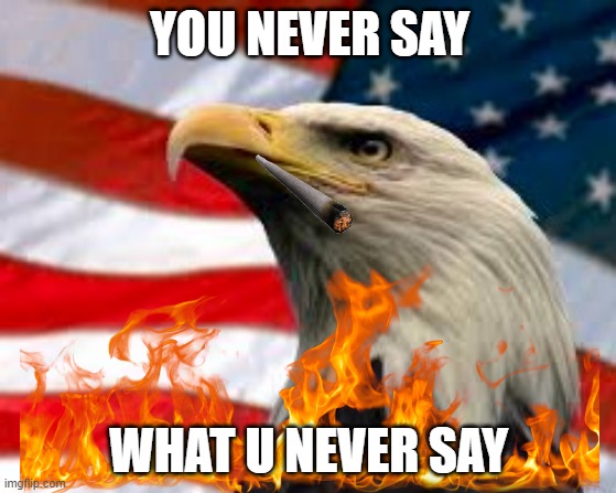 U NEVER SAY | YOU NEVER SAY; WHAT U NEVER SAY | image tagged in murica patriotic eagle | made w/ Imgflip meme maker