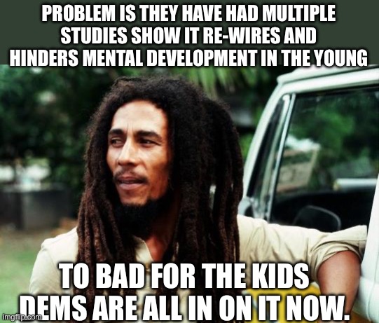 Bob Marley | PROBLEM IS THEY HAVE HAD MULTIPLE STUDIES SHOW IT RE-WIRES AND HINDERS MENTAL DEVELOPMENT IN THE YOUNG TO BAD FOR THE KIDS DEMS ARE ALL IN O | image tagged in bob marley | made w/ Imgflip meme maker