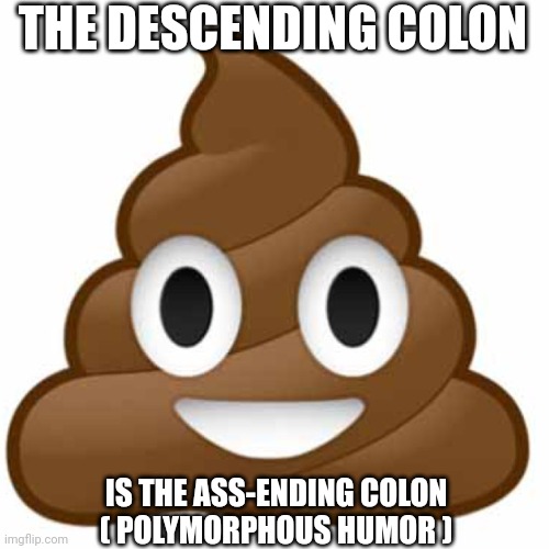 Poop humor | THE DESCENDING COLON; IS THE ASS-ENDING COLON
( POLYMORPHOUS HUMOR ) | image tagged in poop emoji | made w/ Imgflip meme maker