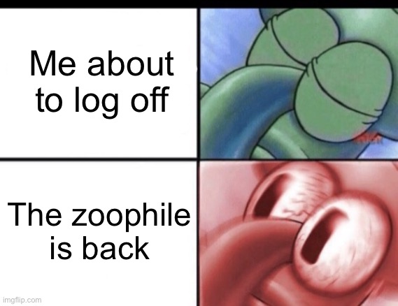 Squidward sleeping | Me about to log off; The zoophile is back | image tagged in squidward sleeping | made w/ Imgflip meme maker