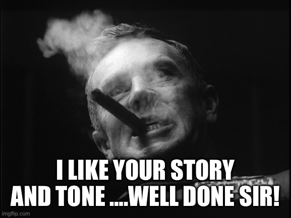 General Ripper (Dr. Strangelove) | I LIKE YOUR STORY AND TONE ….WELL DONE SIR! | image tagged in general ripper dr strangelove | made w/ Imgflip meme maker