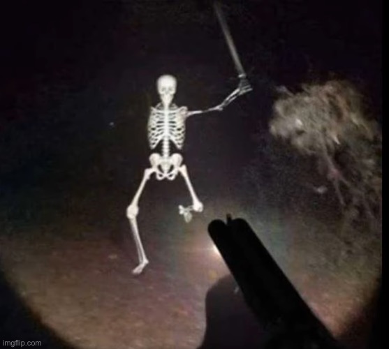 image tagged in bad to the bones | made w/ Imgflip meme maker