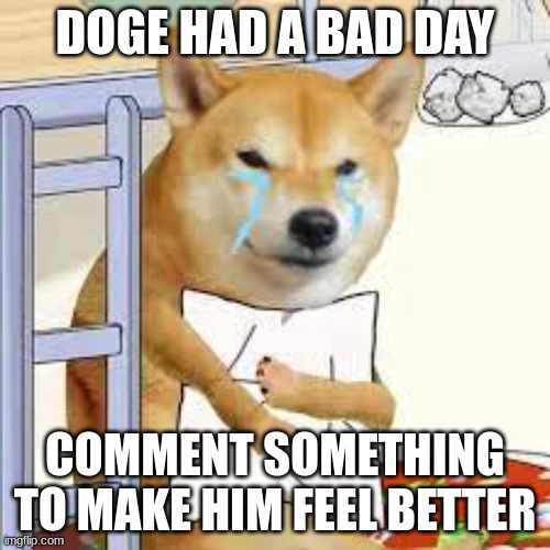 doge sad | DOGE HAD A BAD DAY; COMMENT SOMETHING TO MAKE HIM FEEL BETTER | image tagged in doge sad | made w/ Imgflip meme maker