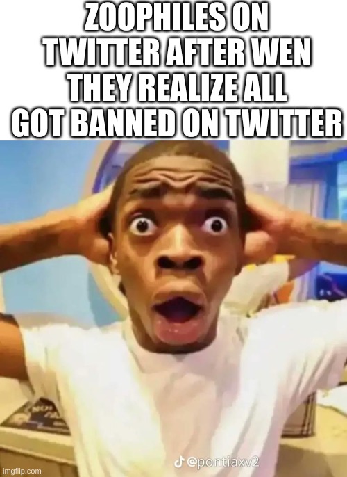 Huge W And Respect to Twitter! | ZOOPHILES ON TWITTER AFTER WEN THEY REALIZE ALL GOT BANNED ON TWITTER | image tagged in blank white template,shocked black guy | made w/ Imgflip meme maker