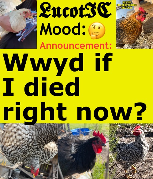 . | 🤔; Wwyd if I died right now? | image tagged in lucotic's cocks announcement template | made w/ Imgflip meme maker