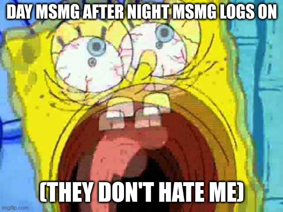 Spongebob Screaming | DAY MSMG AFTER NIGHT MSMG LOGS ON; (THEY DON'T HATE ME) | image tagged in spongebob screaming | made w/ Imgflip meme maker