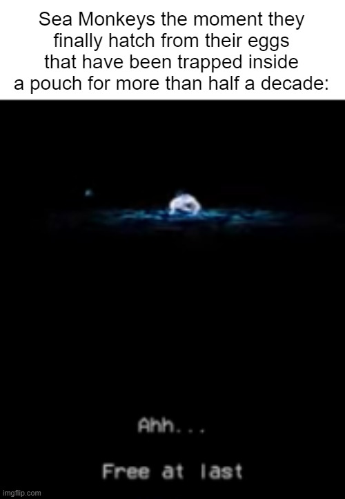 how the heck are they still alive | Sea Monkeys the moment they finally hatch from their eggs that have been trapped inside a pouch for more than half a decade: | image tagged in ultrakill | made w/ Imgflip meme maker