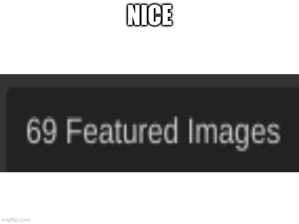 Yep, that's actually true | NICE | image tagged in nice | made w/ Imgflip meme maker