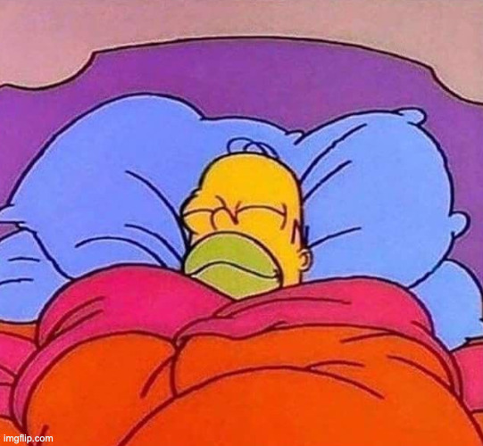 how i sleep knowing i have not seen the gojo figure video | image tagged in homer simpson sleeping peacefully | made w/ Imgflip meme maker