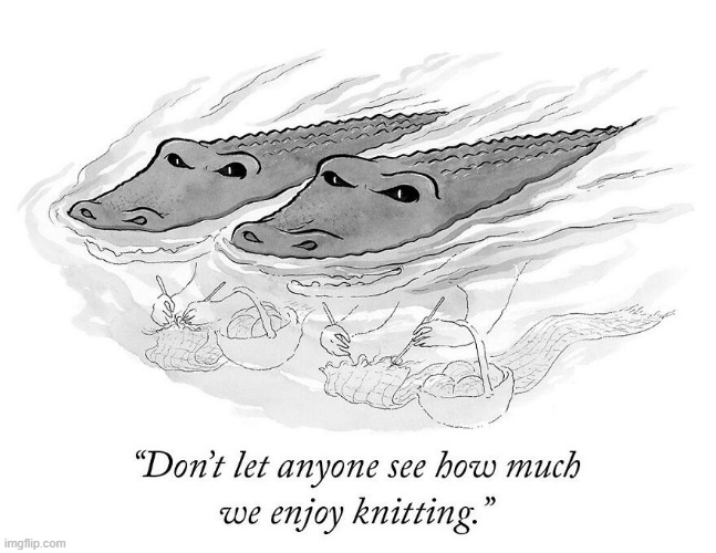 Knitting | image tagged in comics | made w/ Imgflip meme maker