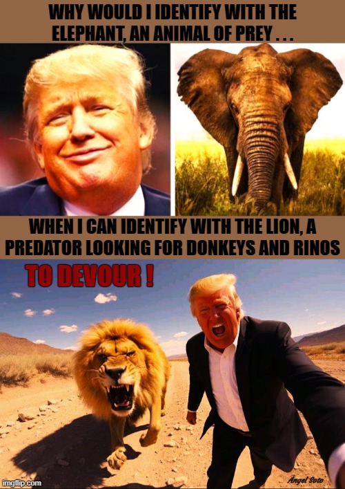 Trump identifies with the lion, a predator | WHY WOULD I IDENTIFY WITH THE
ELEPHANT, AN ANIMAL OF PREY . . . WHEN I CAN IDENTIFY WITH THE LION, A
PREDATOR LOOKING FOR DONKEYS AND RINOS; TO DEVOUR ! Angel Soto | image tagged in trump and elephant,trump and lion,predator,prey,rino,donkey | made w/ Imgflip meme maker
