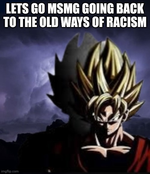 LowTeirGoku | LETS GO MSMG GOING BACK TO THE OLD WAYS OF RACISM | image tagged in lowteirgoku | made w/ Imgflip meme maker