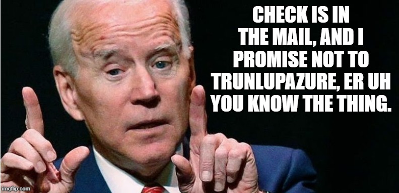 Another politician's promise to take from you and give to them... | CHECK IS IN THE MAIL, AND I PROMISE NOT TO TRUNLUPAZURE, ER UH YOU KNOW THE THING. | image tagged in biden | made w/ Imgflip meme maker