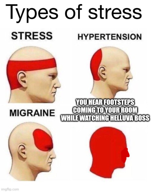 Types of Stress | YOU HEAR FOOTSTEPS COMING TO YOUR ROOM WHILE WATCHING HELLUVA BOSS | image tagged in types of stress | made w/ Imgflip meme maker