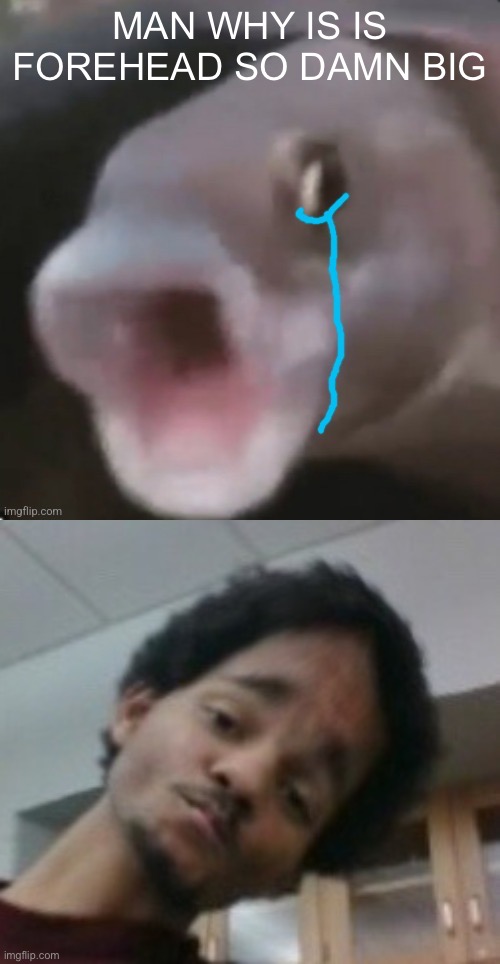 MAN WHY IS IS FOREHEAD SO DAMN BIG | image tagged in crying poggers fish | made w/ Imgflip meme maker