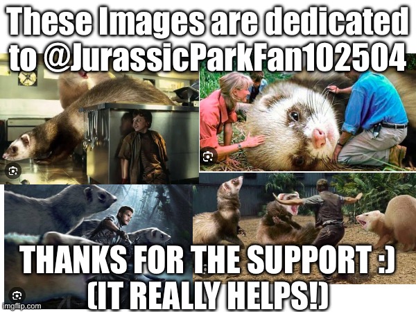 Ferret fact #166: Newborn Ferrets Can Fit Inside a Teaspoon | These Images are dedicated to @JurassicParkFan102504; THANKS FOR THE SUPPORT :)
(IT REALLY HELPS!) | image tagged in ferret | made w/ Imgflip meme maker