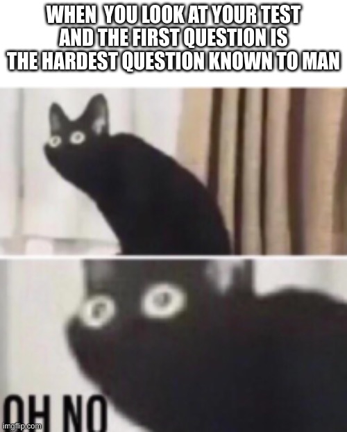 the whole test ends up being so hard :( | WHEN  YOU LOOK AT YOUR TEST AND THE FIRST QUESTION IS THE HARDEST QUESTION KNOWN TO MAN | image tagged in oh no black cat | made w/ Imgflip meme maker