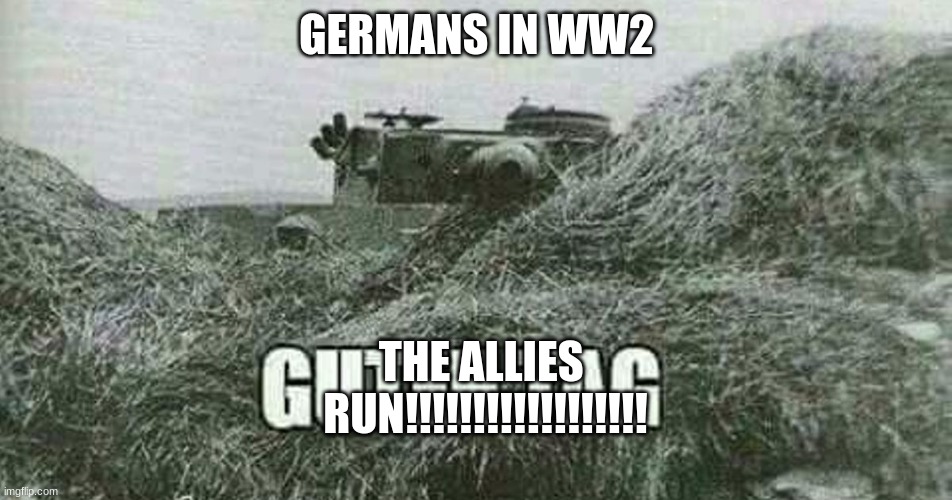 German guten tag tiger | GERMANS IN WW2; THE ALLIES 
RUN!!!!!!!!!!!!!!!!!! | image tagged in german guten tag tiger | made w/ Imgflip meme maker