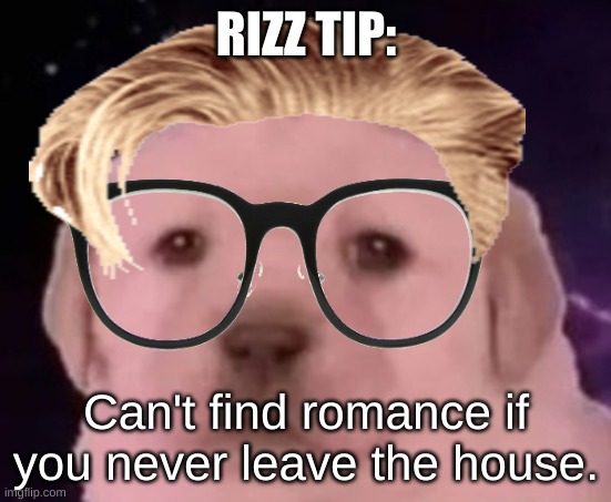 Sp3x_ puppers | RIZZ TIP:; Can't find romance if you never leave the house. | image tagged in sp3x_ puppers | made w/ Imgflip meme maker