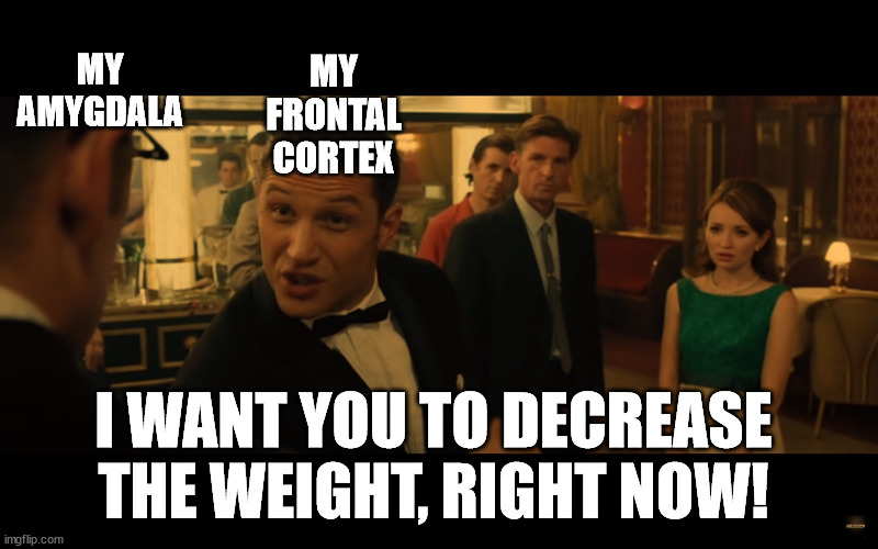 MY AMYGDALA; MY FRONTAL CORTEX; I WANT YOU TO DECREASE THE WEIGHT, RIGHT NOW! | made w/ Imgflip meme maker