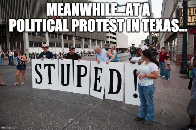 Deep in the Heart of Texas | MEANWHILE...AT A POLITICAL PROTEST IN TEXAS... | image tagged in politics,protest | made w/ Imgflip meme maker