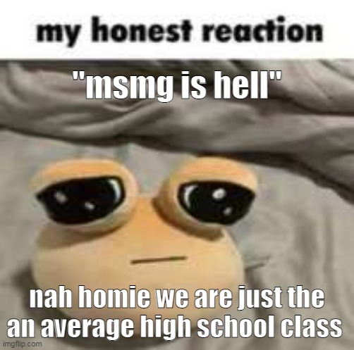 we all stupid | "msmg is hell"; nah homie we are just the an average high school class | image tagged in my honest reaction | made w/ Imgflip meme maker