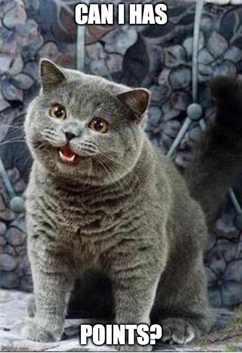 I can has cheezburger cat | CAN I HAS; POINTS? | image tagged in i can has cheezburger cat | made w/ Imgflip meme maker
