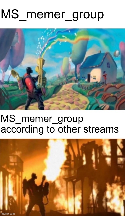 yeah it’s chaotic there but calling it racist and hateful is a step too far lol | MS_memer_group; MS_memer_group according to other streams | image tagged in tf2 meet the pyro | made w/ Imgflip meme maker
