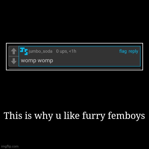 This is why u like furry femboys | | image tagged in funny,demotivationals | made w/ Imgflip demotivational maker