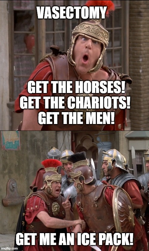 Vasectomy | VASECTOMY; GET THE HORSES! GET THE CHARIOTS! 
GET THE MEN! GET ME AN ICE PACK! | image tagged in get me an ice pack,mel brooks,history of the world | made w/ Imgflip meme maker