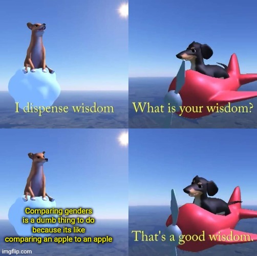 Wisdom dog | Comparing genders is a dumb thing to do because its like comparing an apple to an apple | image tagged in wisdom dog | made w/ Imgflip meme maker