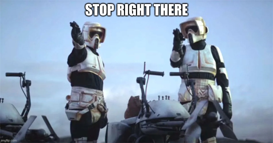 scout troopers | STOP RIGHT THERE | image tagged in scout troopers | made w/ Imgflip meme maker