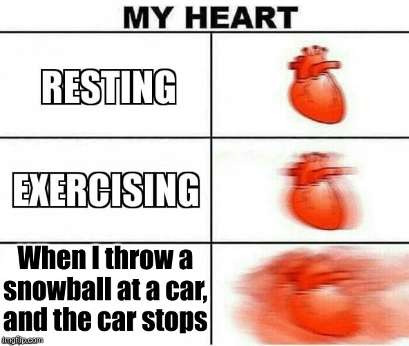 My Heart | When I throw a snowball at a car, and the car stops | image tagged in my heart | made w/ Imgflip meme maker