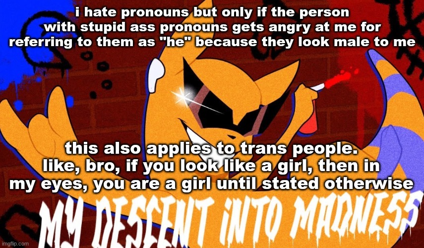 MY DESCENT INTO MADNESS | i hate pronouns but only if the person with stupid ass pronouns gets angry at me for referring to them as "he" because they look male to me; this also applies to trans people. like, bro, if you look like a girl, then in my eyes, you are a girl until stated otherwise | image tagged in my descent into madness | made w/ Imgflip meme maker