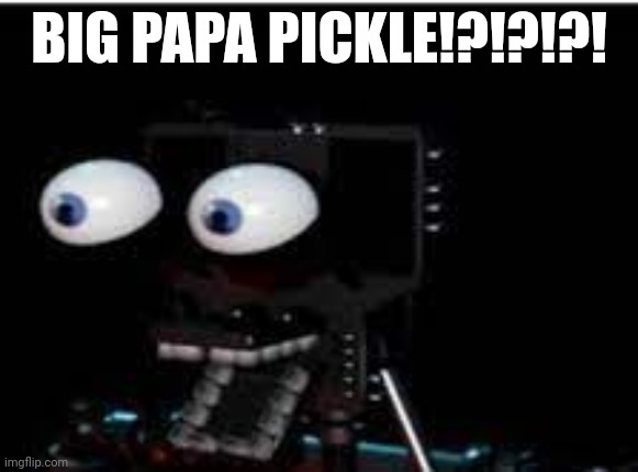 PERSONALITY?!?!?!?!?! | BIG PAPA PICKLE!?!?!?! | image tagged in personality | made w/ Imgflip meme maker