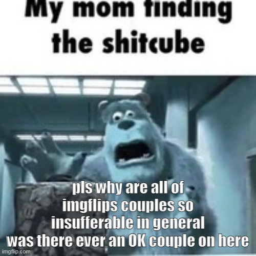 reddit mod and his discord kitten | pls why are all of imgflips couples so insufferable in general
was there ever an OK couple on here | image tagged in my mom finding the shitcube | made w/ Imgflip meme maker