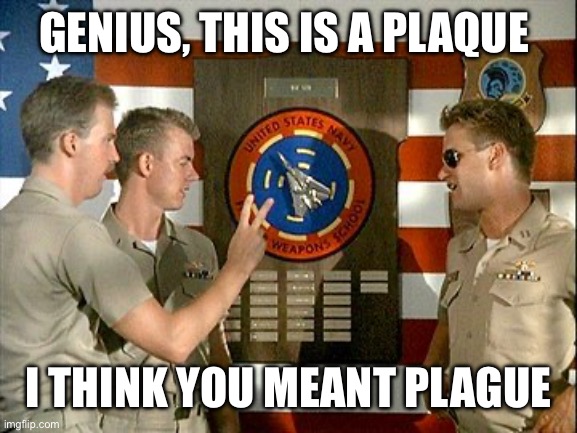 Top Gun Plaque | GENIUS, THIS IS A PLAQUE I THINK YOU MEANT PLAGUE | image tagged in top gun plaque | made w/ Imgflip meme maker