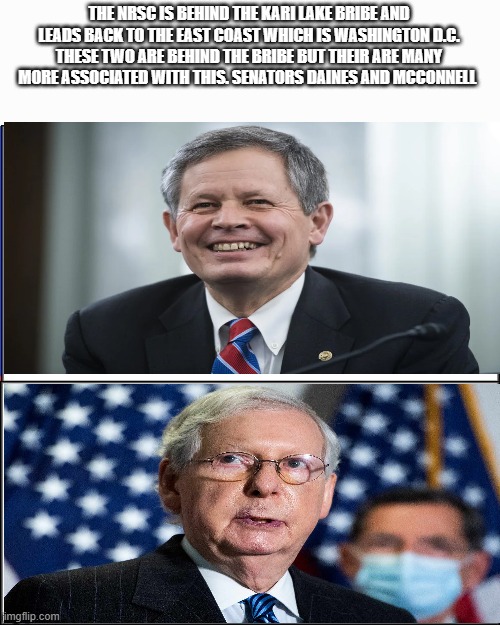 National republican senatorial Committee | THE NRSC IS BEHIND THE KARI LAKE BRIBE AND LEADS BACK TO THE EAST COAST WHICH IS WASHINGTON D.C. THESE TWO ARE BEHIND THE BRIBE BUT THEIR ARE MANY MORE ASSOCIATED WITH THIS. SENATORS DAINES AND MCCONNELL | image tagged in double white template,rino,republicans,corruption,senate | made w/ Imgflip meme maker